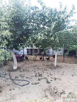 Satılır 6 otaqlı həyət evi 125 m²