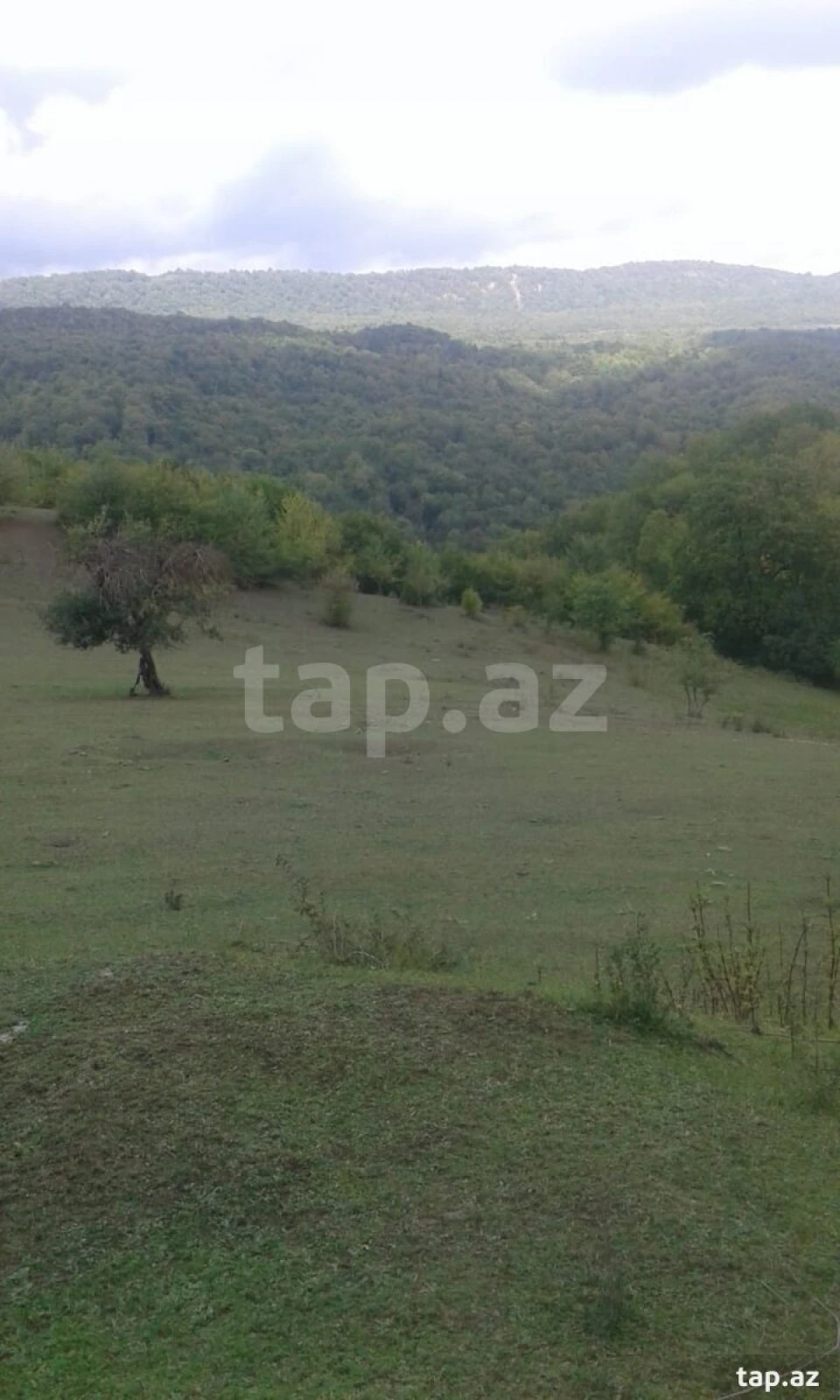 Satılır torpaq sahəsi