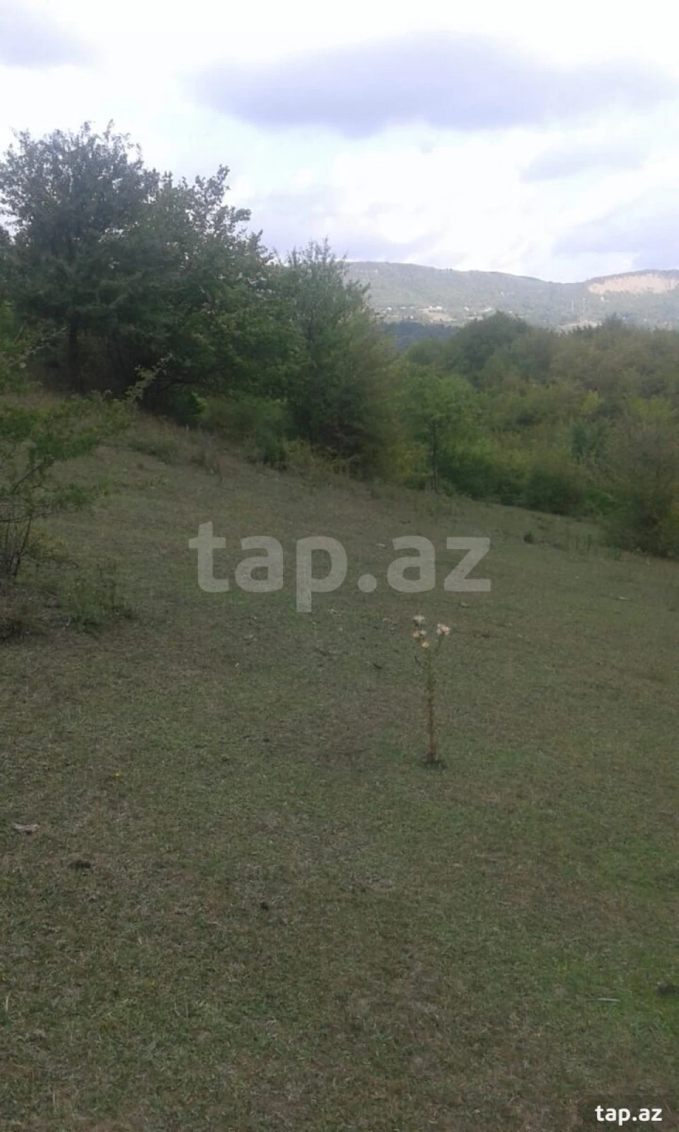 Satılır torpaq sahəsi