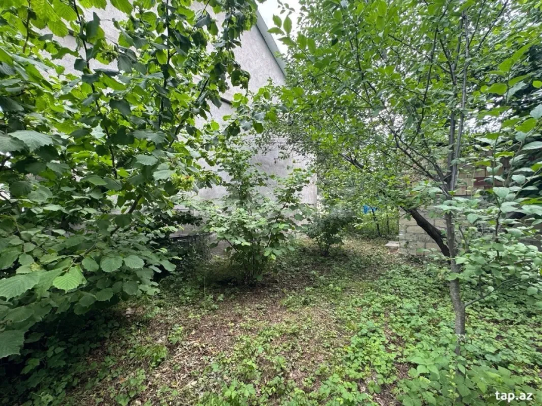 Satılır 2 otaqlı həyət evi