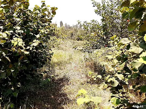 Satılır torpaq sahəsi