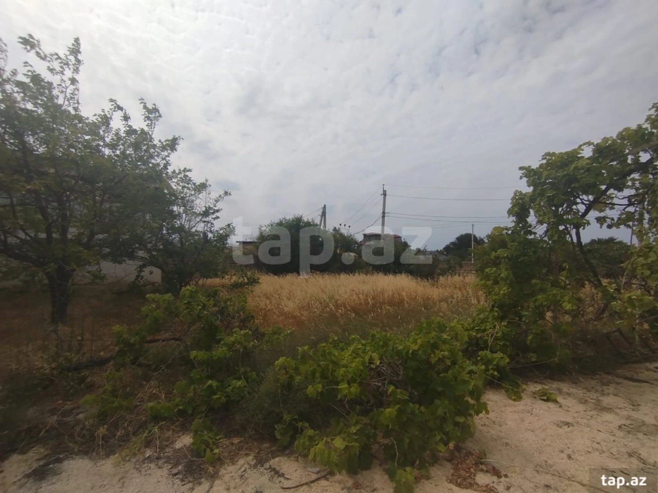 Satılır torpaq sahəsi