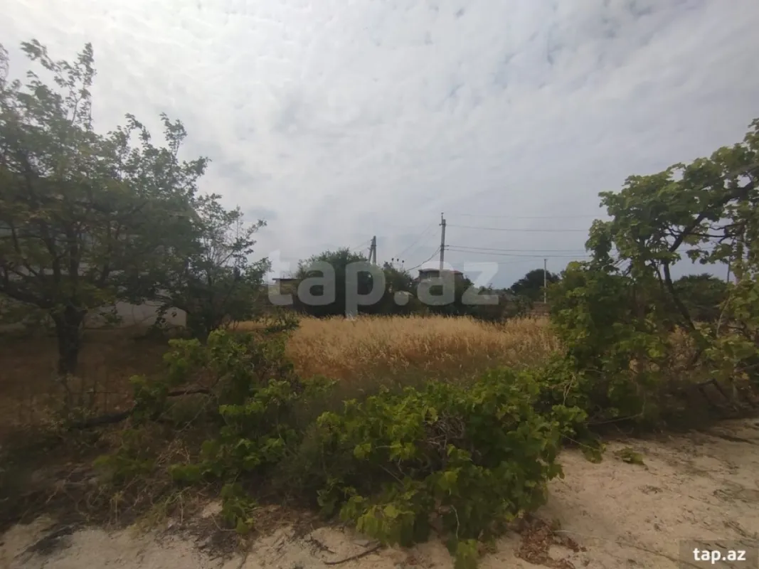 Satılır torpaq sahəsi