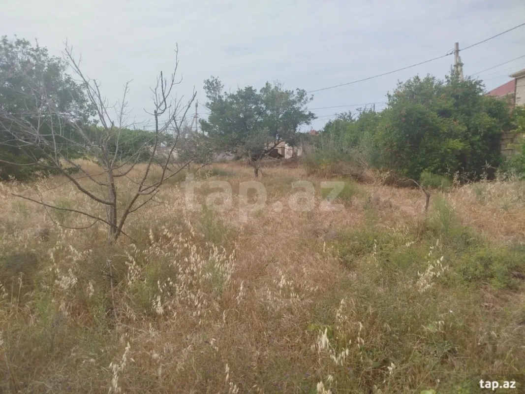 Satılır torpaq sahəsi