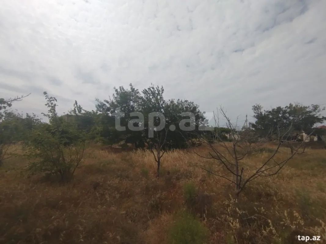 Satılır torpaq sahəsi