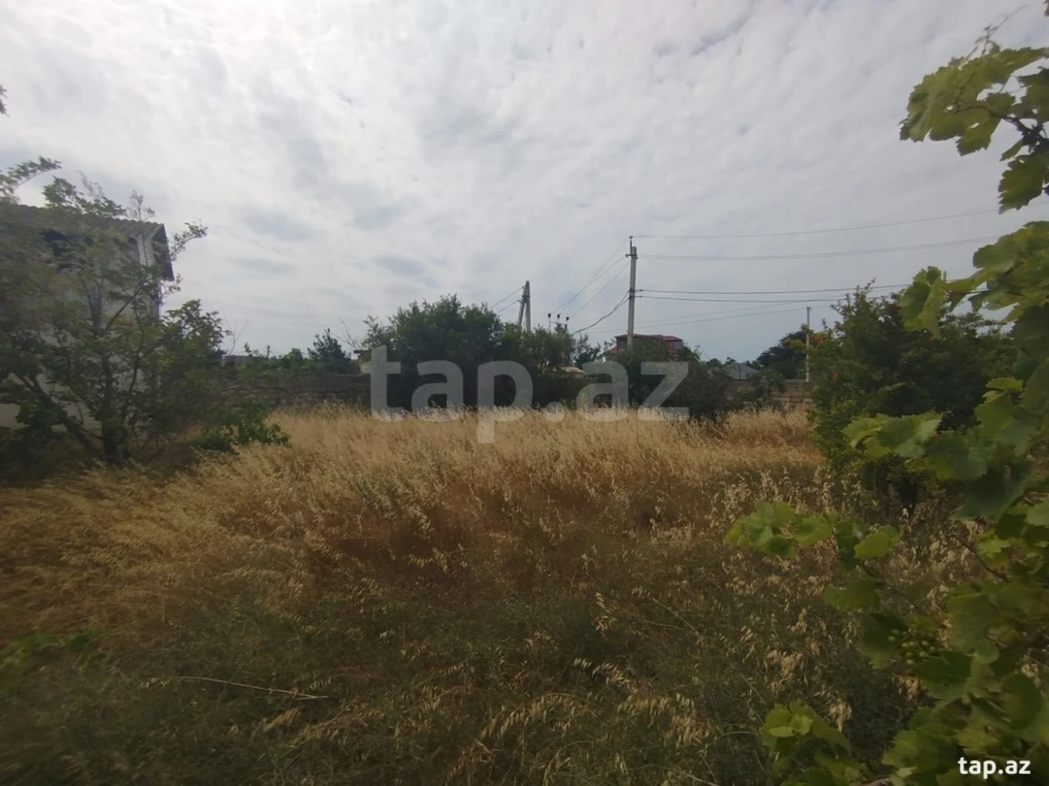 Satılır torpaq sahəsi