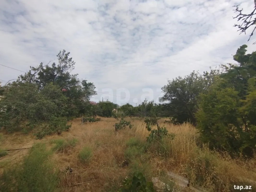 Satılır torpaq sahəsi