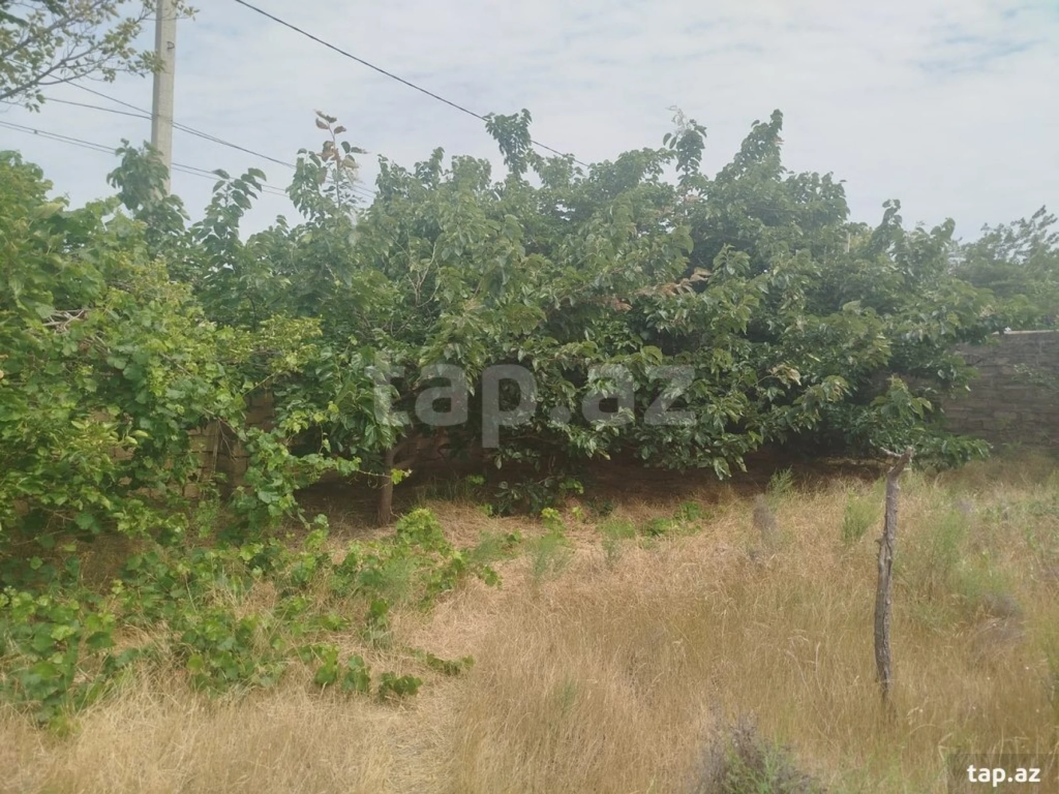 Satılır torpaq sahəsi