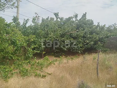 Satılır torpaq sahəsi