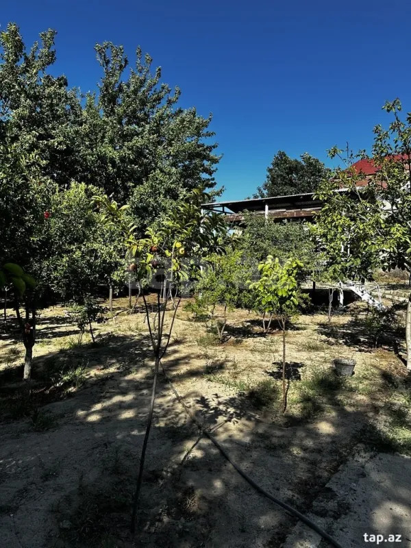 Satılır 5 otaqlı həyət evi