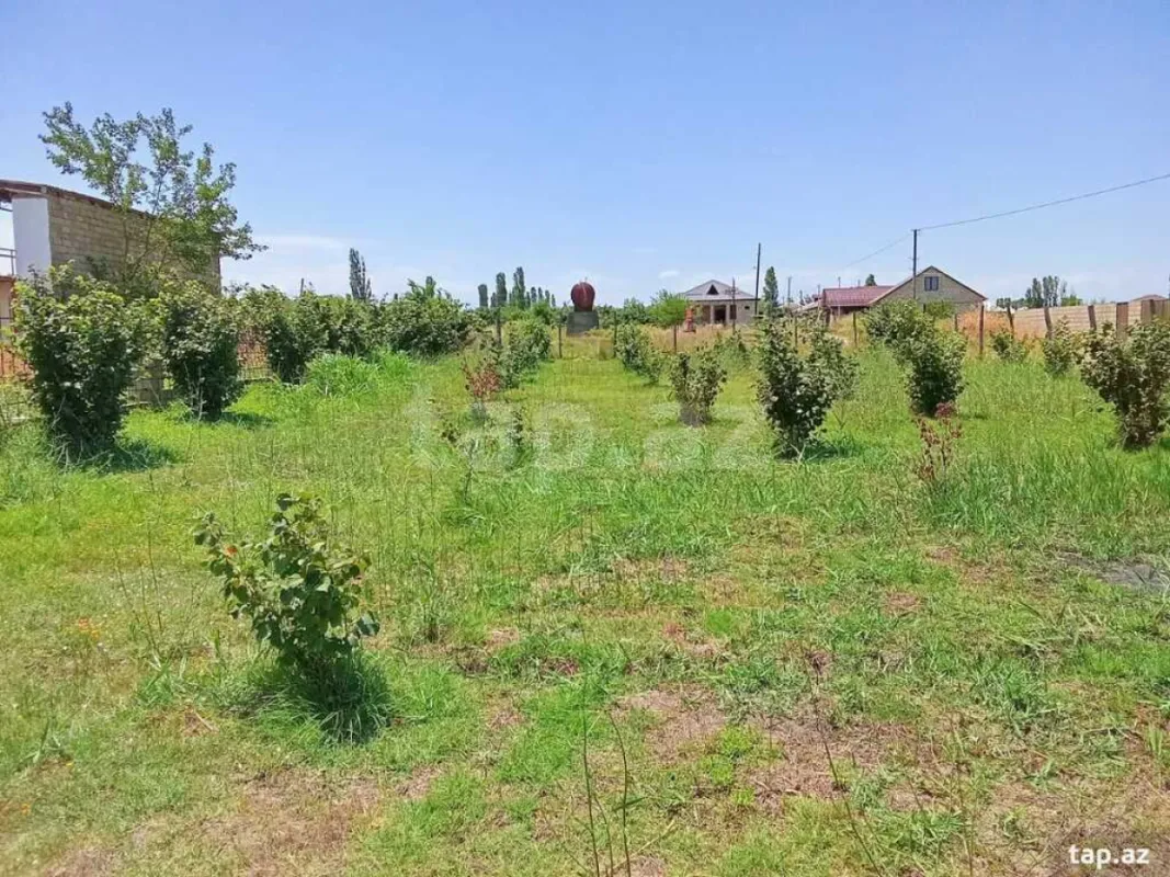 Satılır torpaq sahəsi