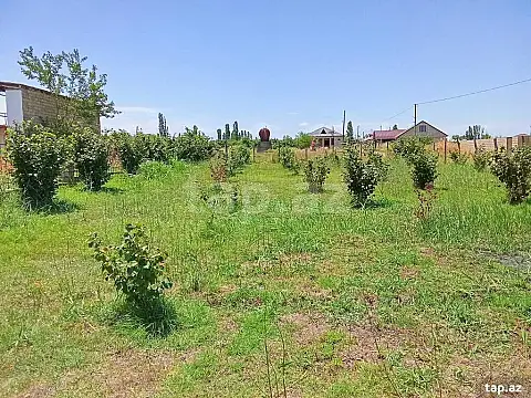 Satılır torpaq sahəsi — Xaçmaz