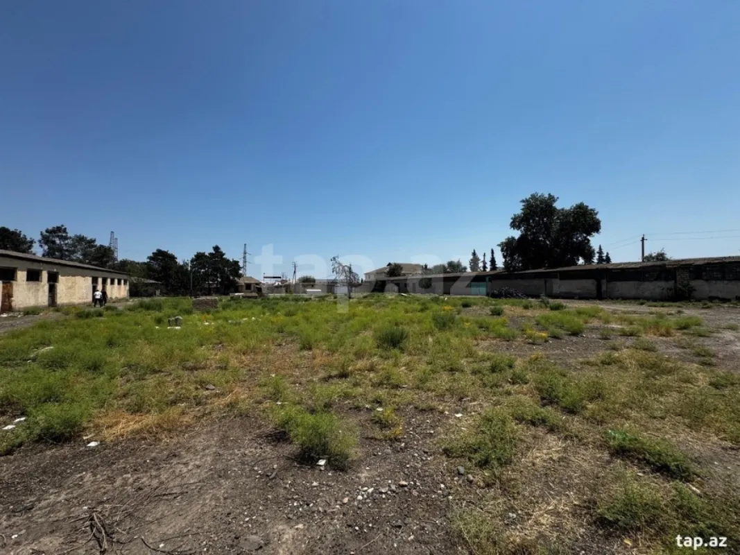 Kirayə verilir obyekt