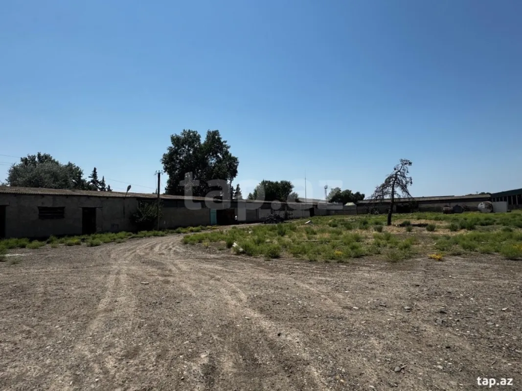 Kirayə verilir obyekt