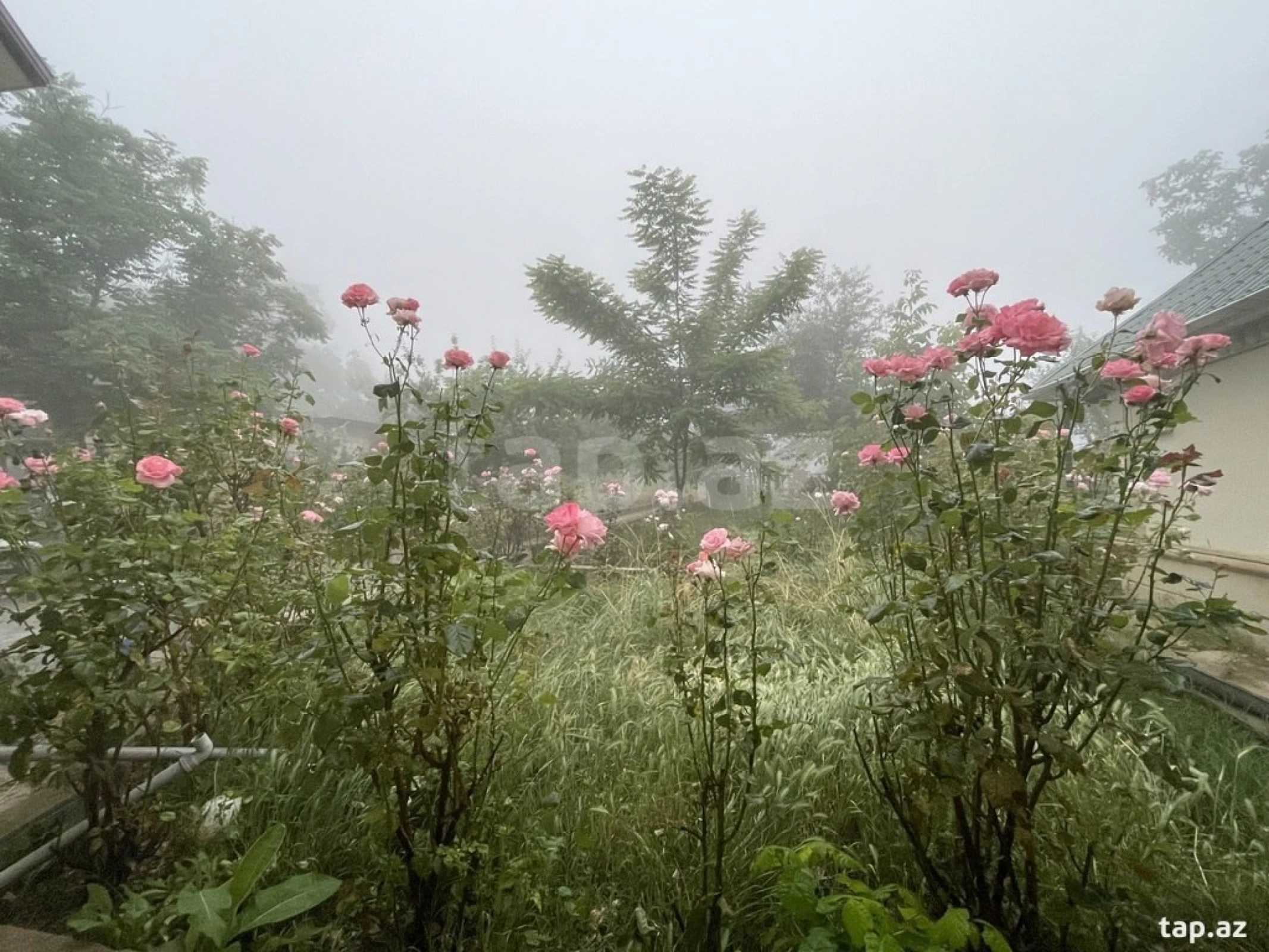 Kirayə verilir 6 otaqlı həyət evi