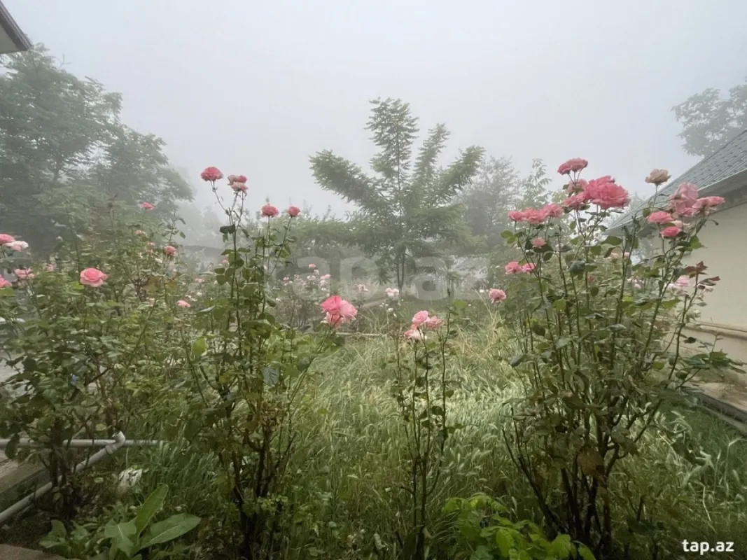 Kirayə verilir 6 otaqlı həyət evi