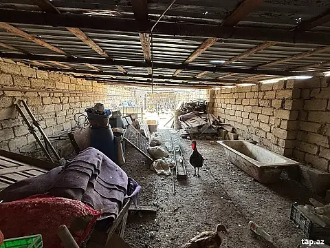 Kirayə verilir obyekt — Bakı