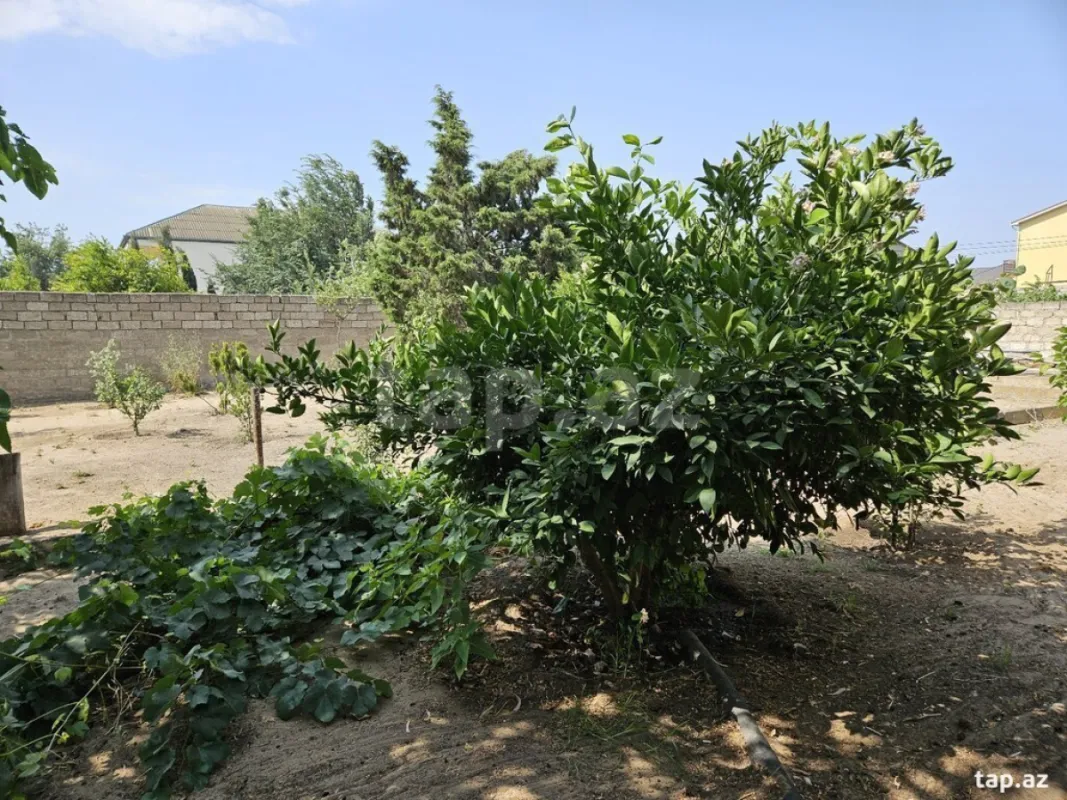 Kirayə verilir 5 otaqlı həyət evi