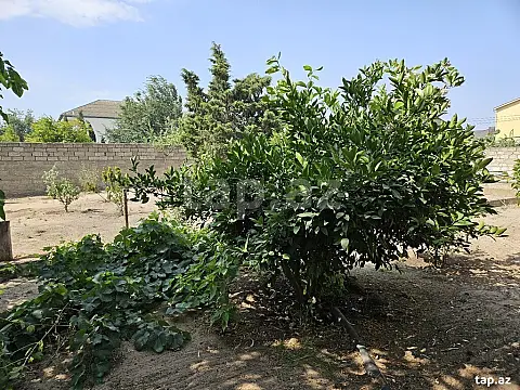 Kirayə verilir 5 otaqlı həyət evi