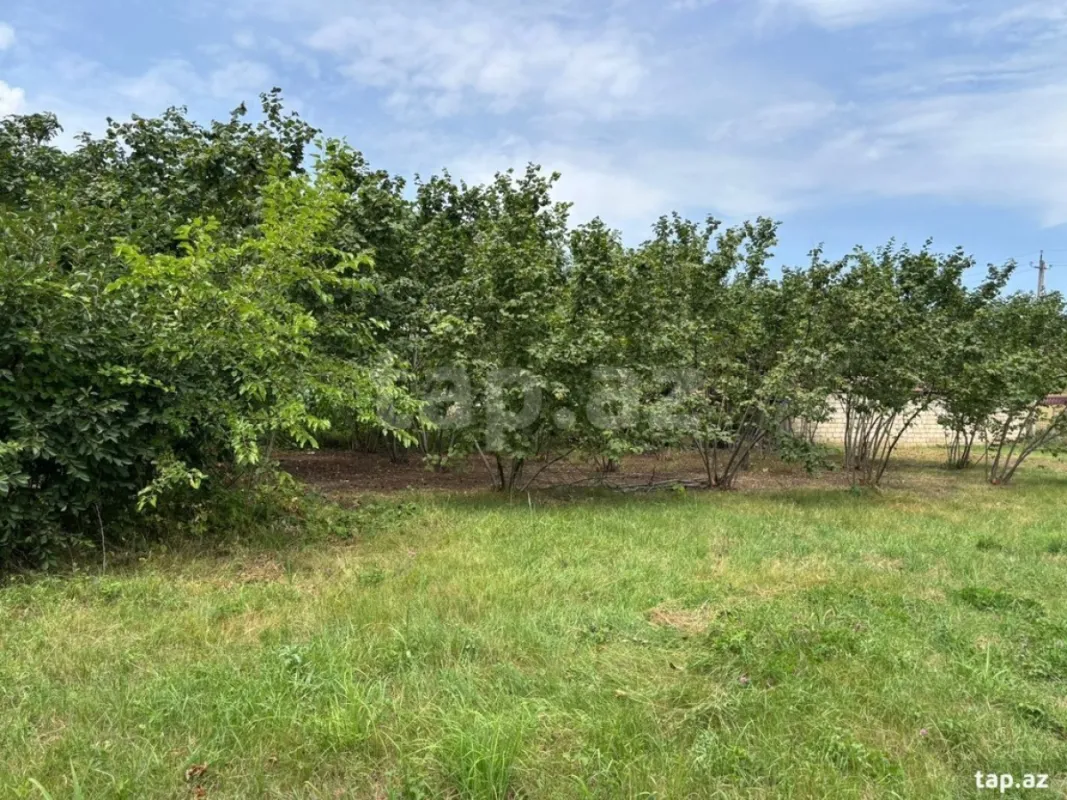 Satılır torpaq sahəsi