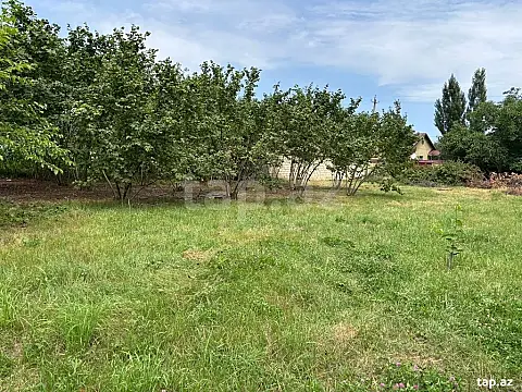 Satılır torpaq sahəsi — Qusar