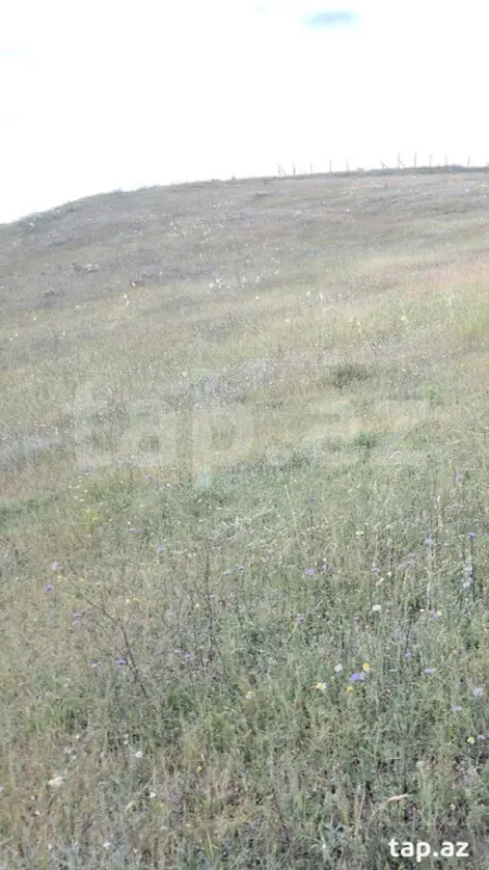 Satılır torpaq sahəsi