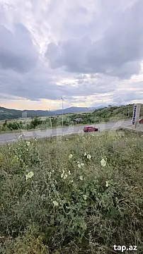 Satılır torpaq sahəsi — Şamaxı