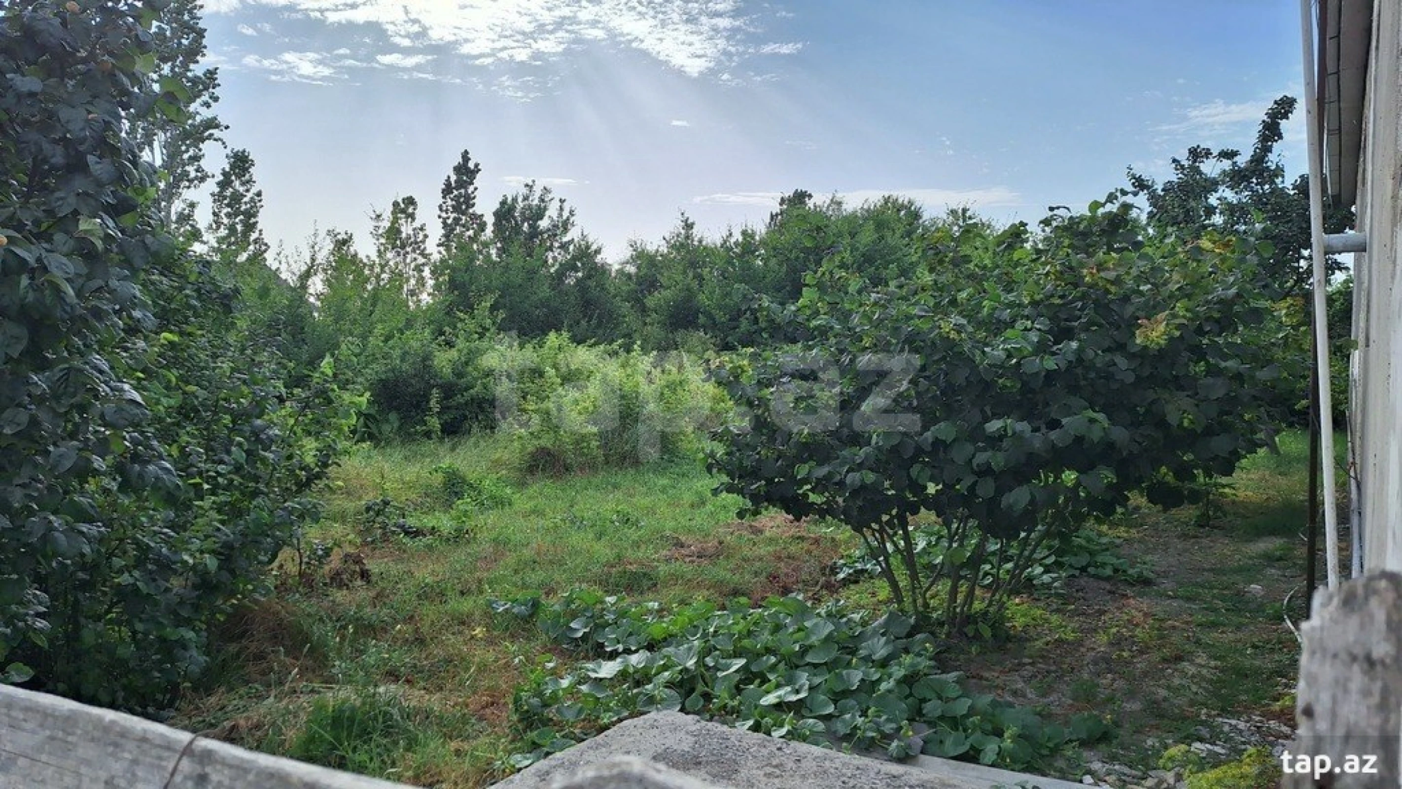 Satılır torpaq sahəsi