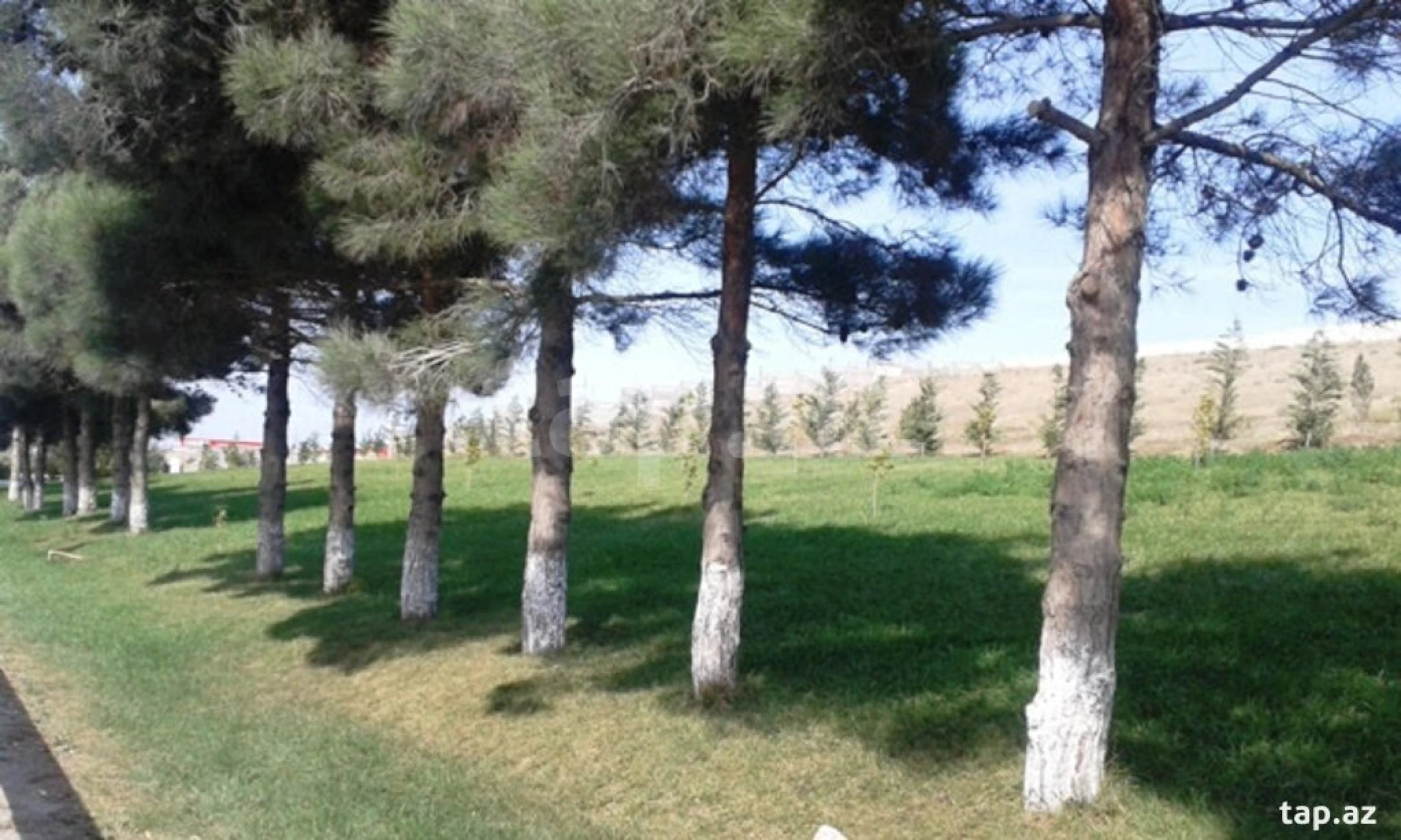 Satılır torpaq sahəsi