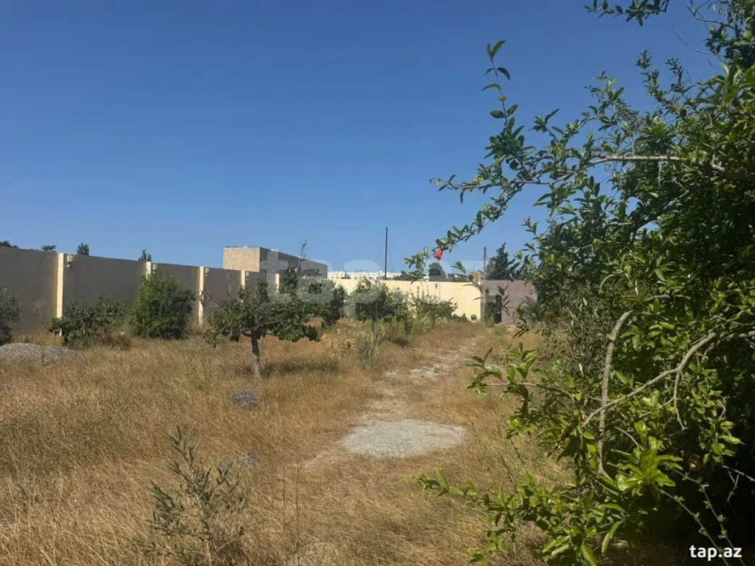 Satılır torpaq sahəsi