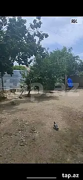 Satılır 4 otaqlı həyət evi