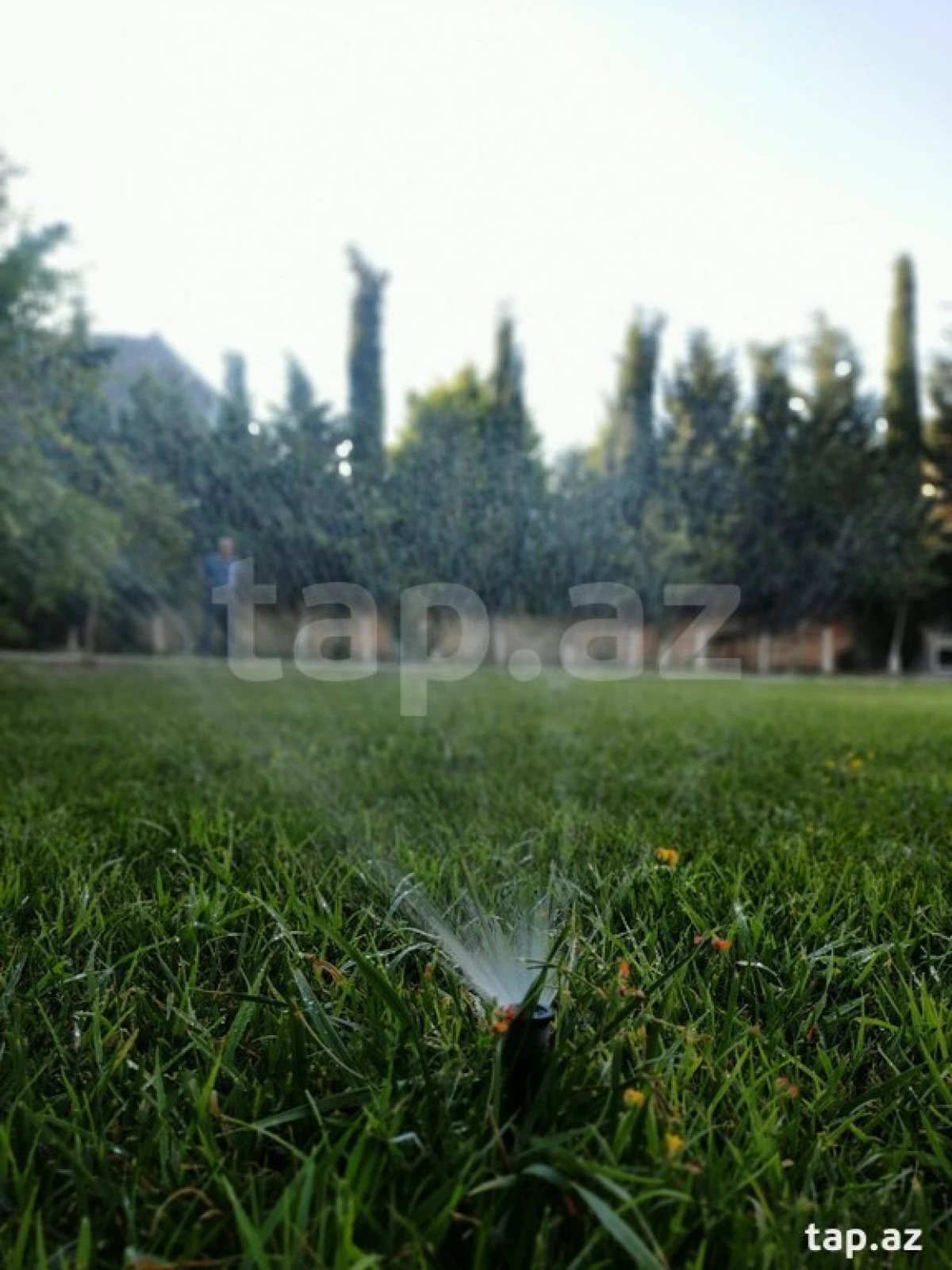 Satılır 6 otaqlı həyət evi