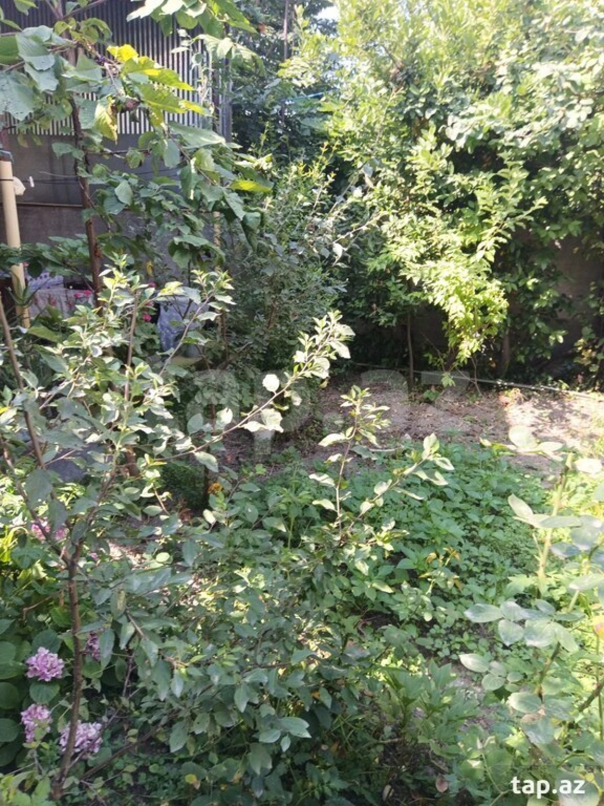 Satılır 6 otaqlı həyət evi