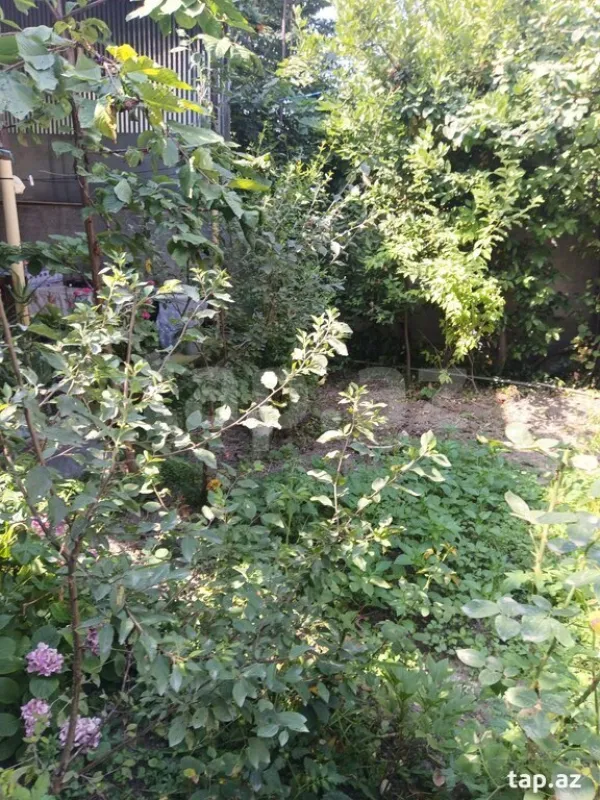 Satılır 6 otaqlı həyət evi