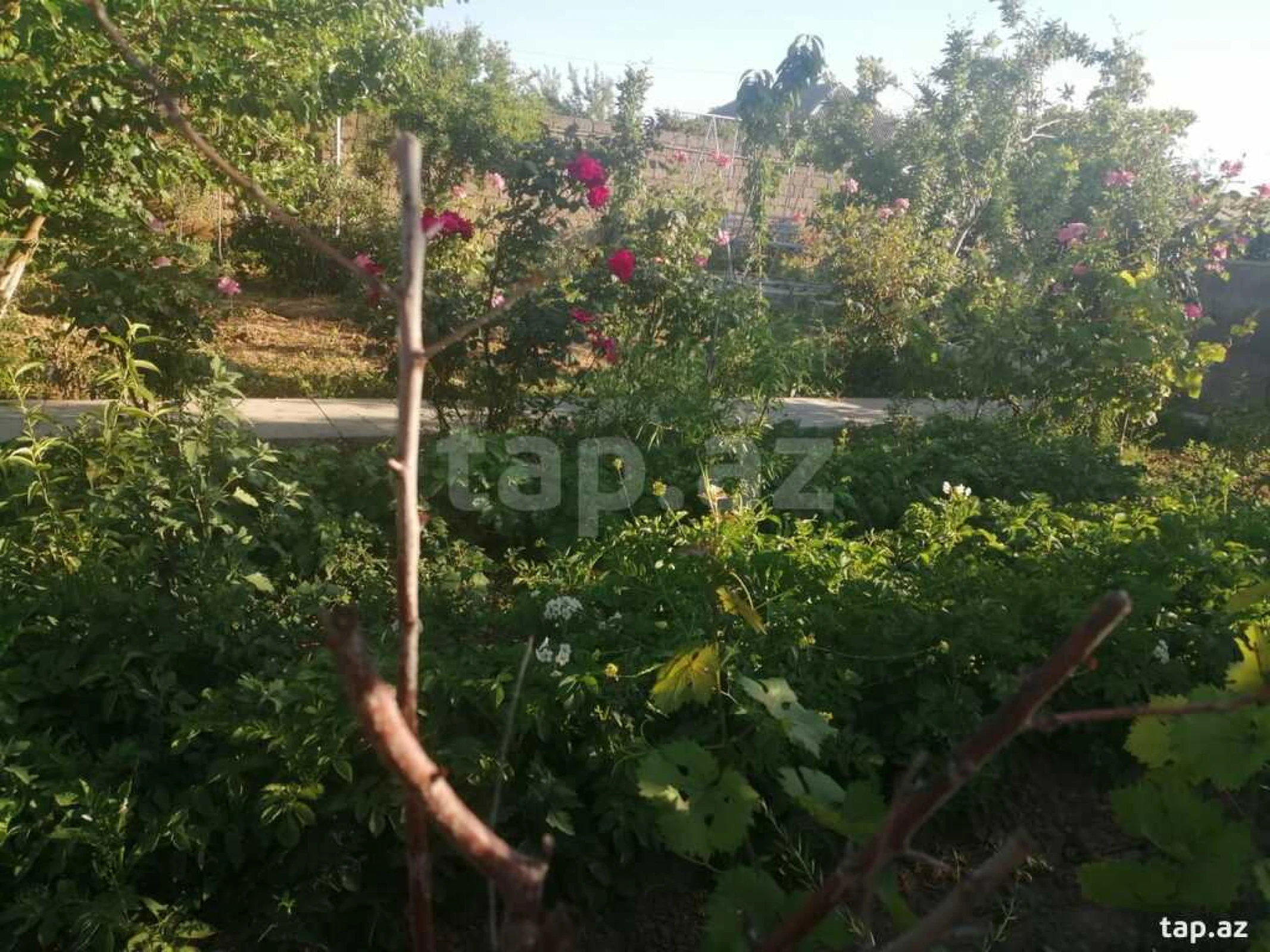 Satılır 4 otaqlı həyət evi 130 m²