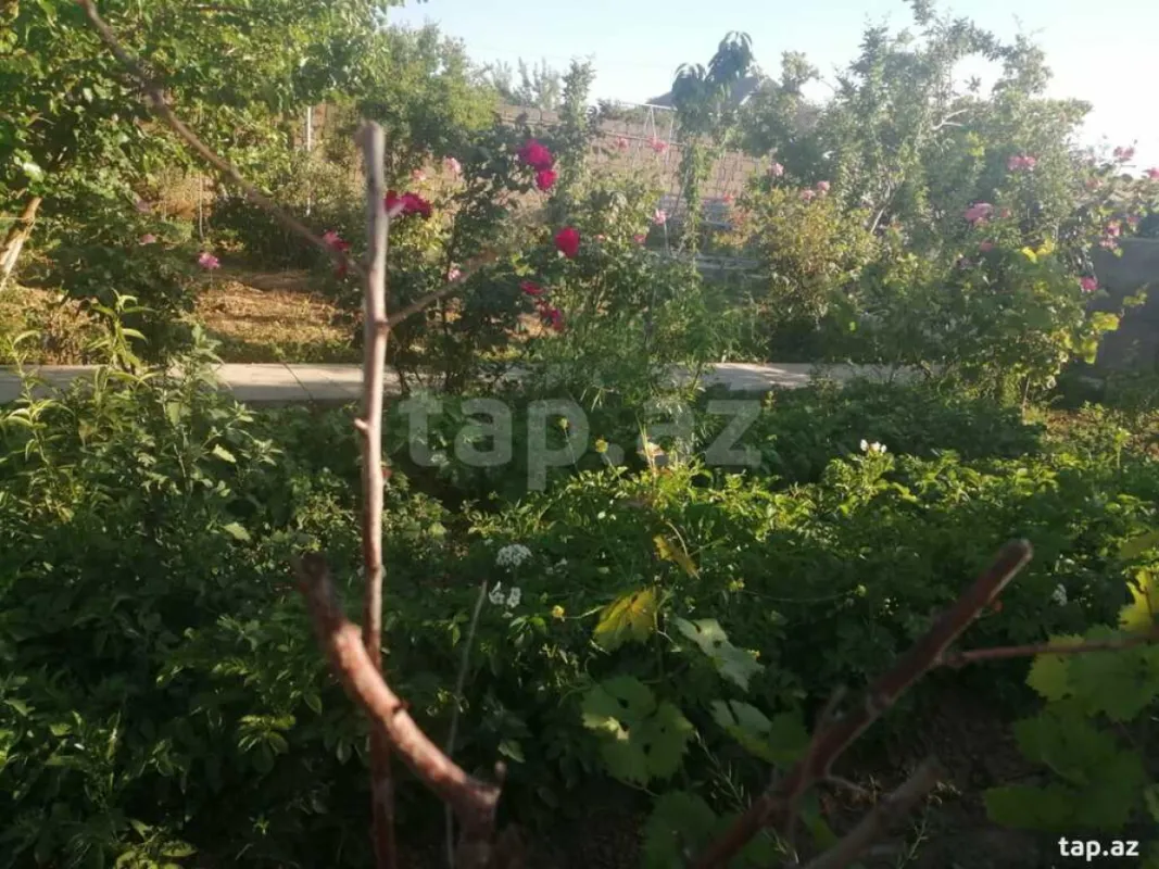 Satılır 4 otaqlı həyət evi 130 m²