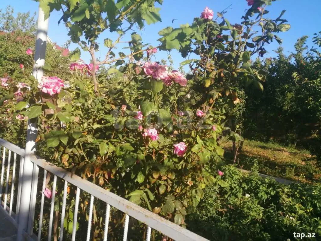 Satılır 4 otaqlı həyət evi 130 m²
