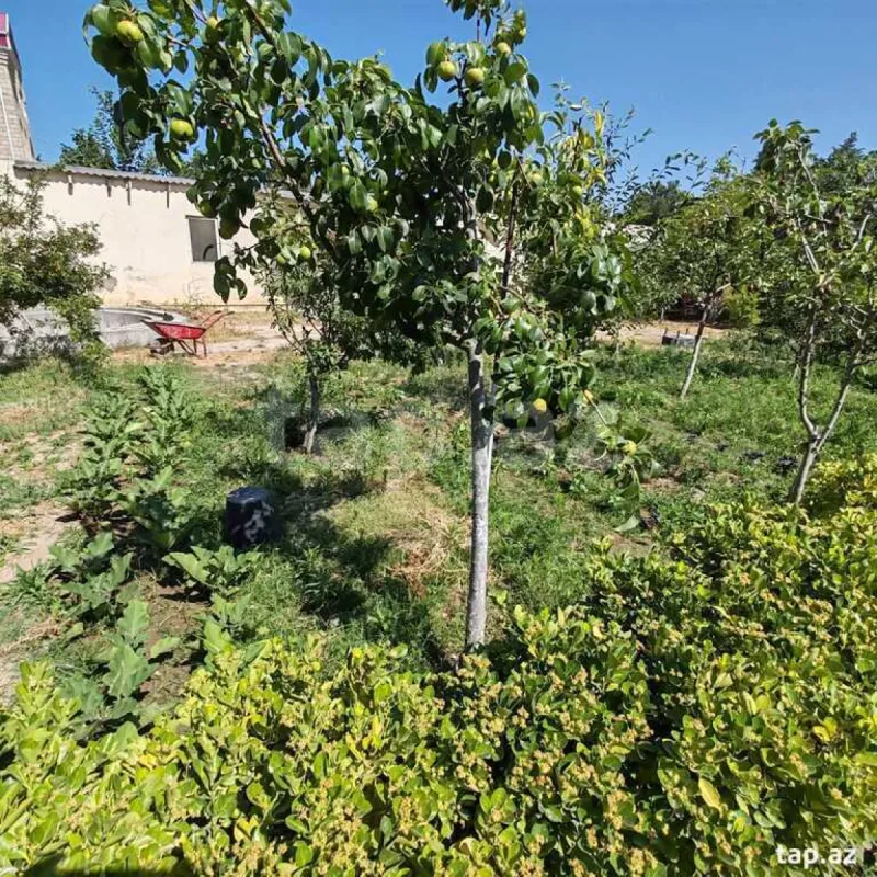 Satılır 8 otaqlı həyət evi