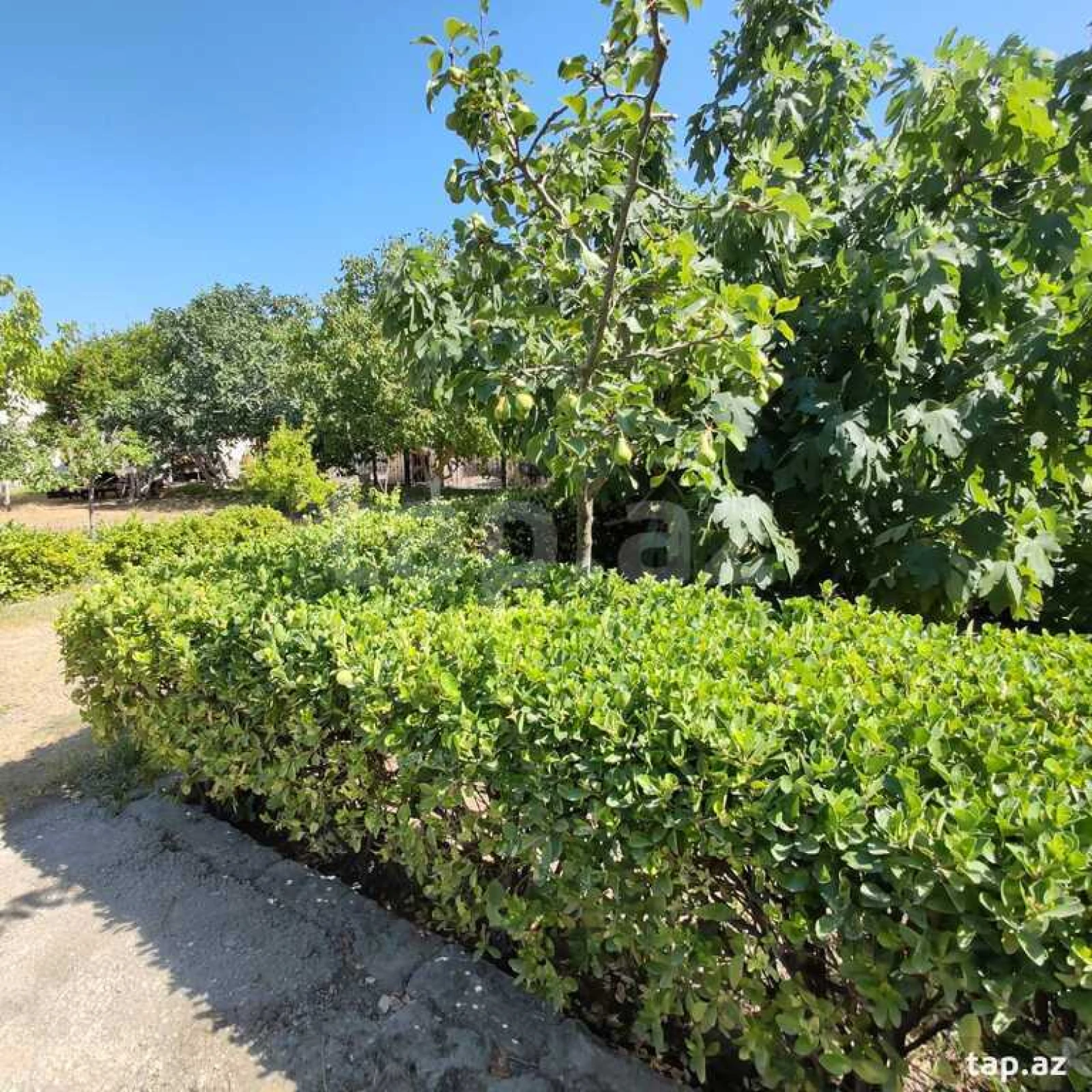 Satılır 8 otaqlı həyət evi