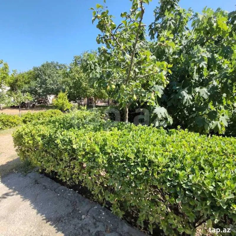 Satılır 8 otaqlı həyət evi