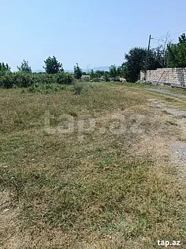 Satılır torpaq sahəsi — Şəki