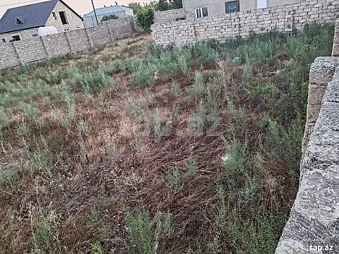 Satılır torpaq sahəsi — Bakı