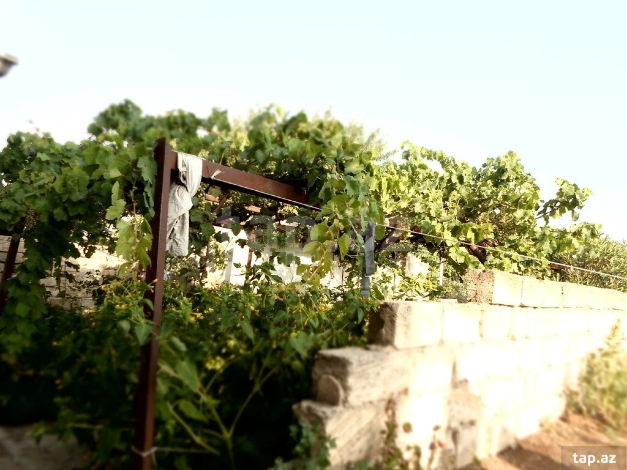 Satılır 8 otaqlı həyət evi