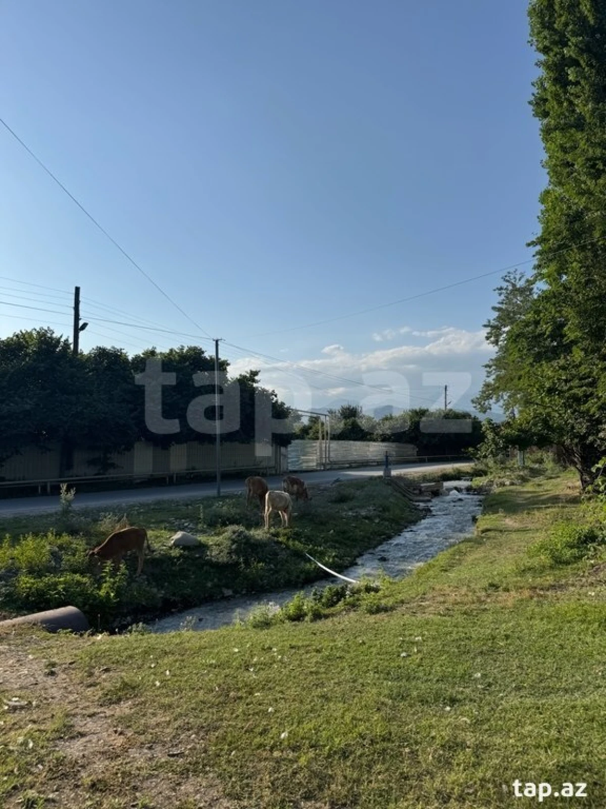 Satılır 3 otaqlı həyət evi 156 m²