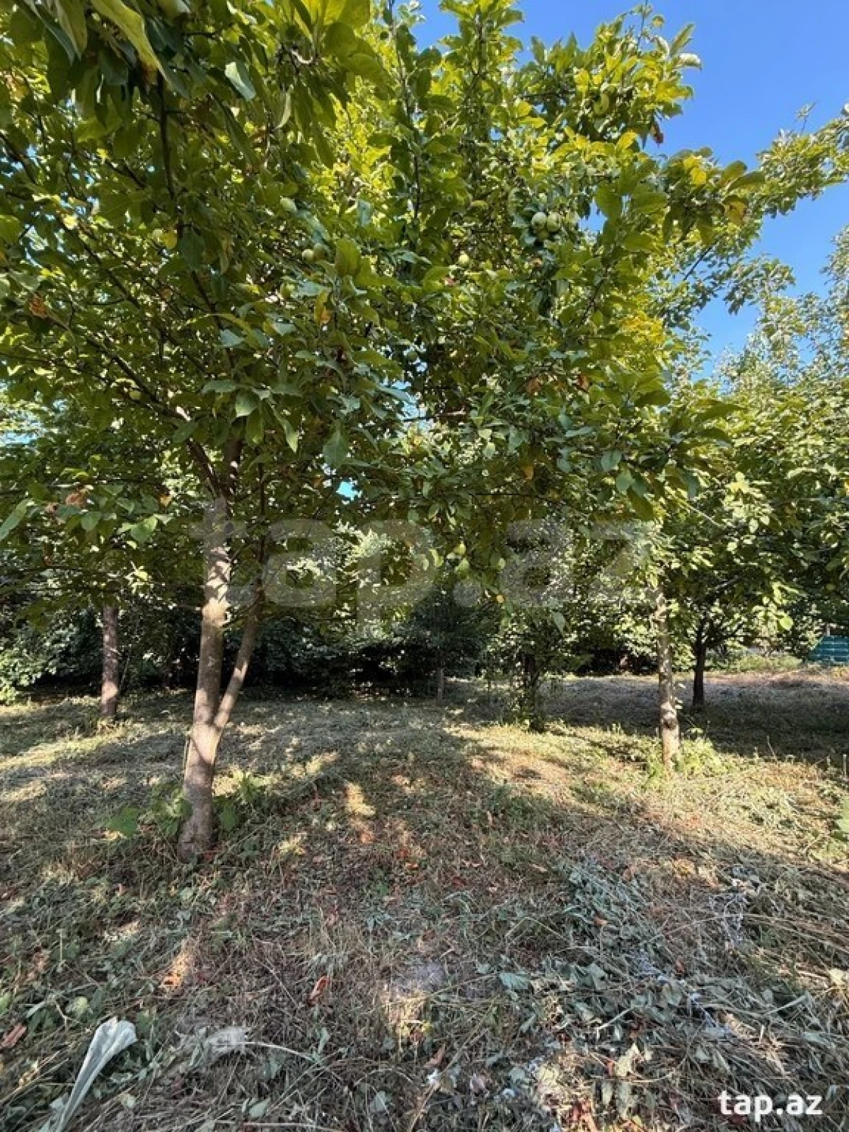 Satılır 3 otaqlı həyət evi 156 m²