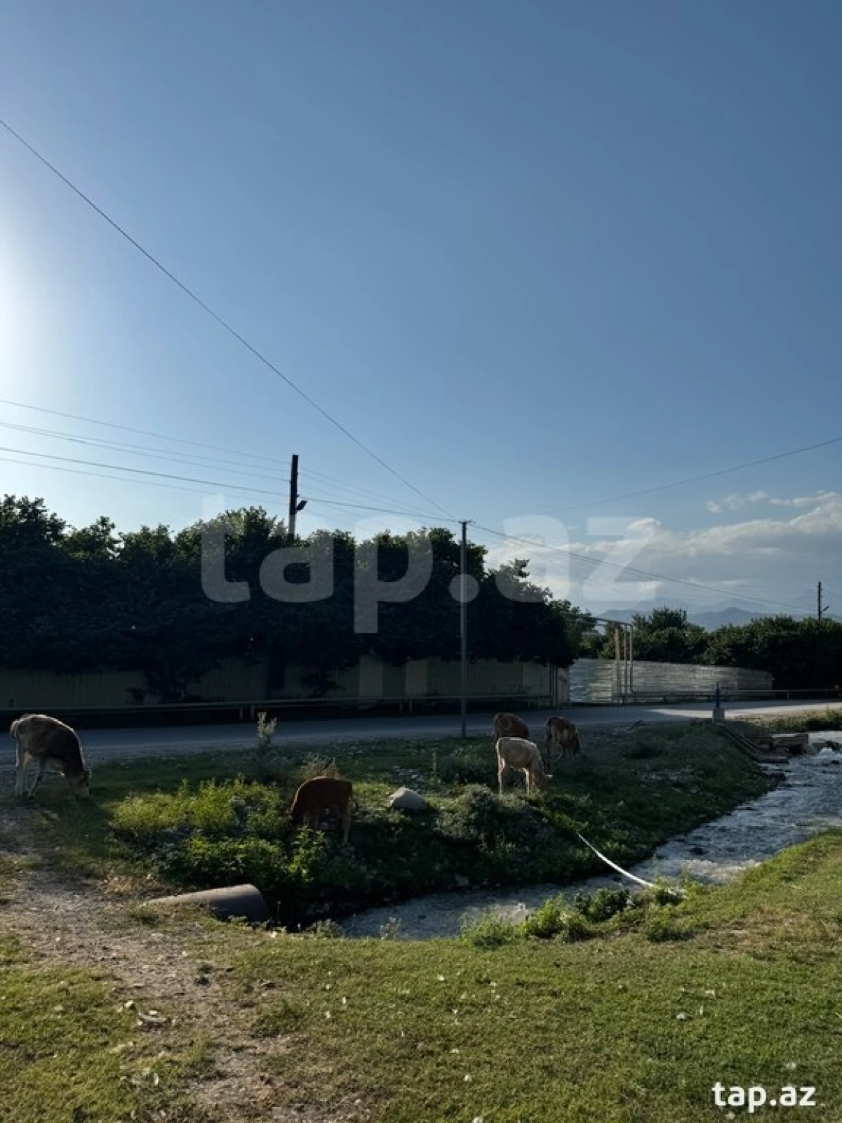 Satılır 3 otaqlı həyət evi 156 m²