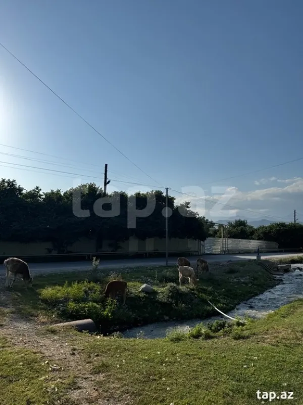 Satılır 3 otaqlı həyət evi 156 m²