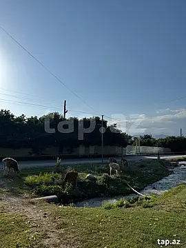 Satılır 3 otaqlı həyət evi 156 m² — İsmayıllı 3 otaq 156.00 m²