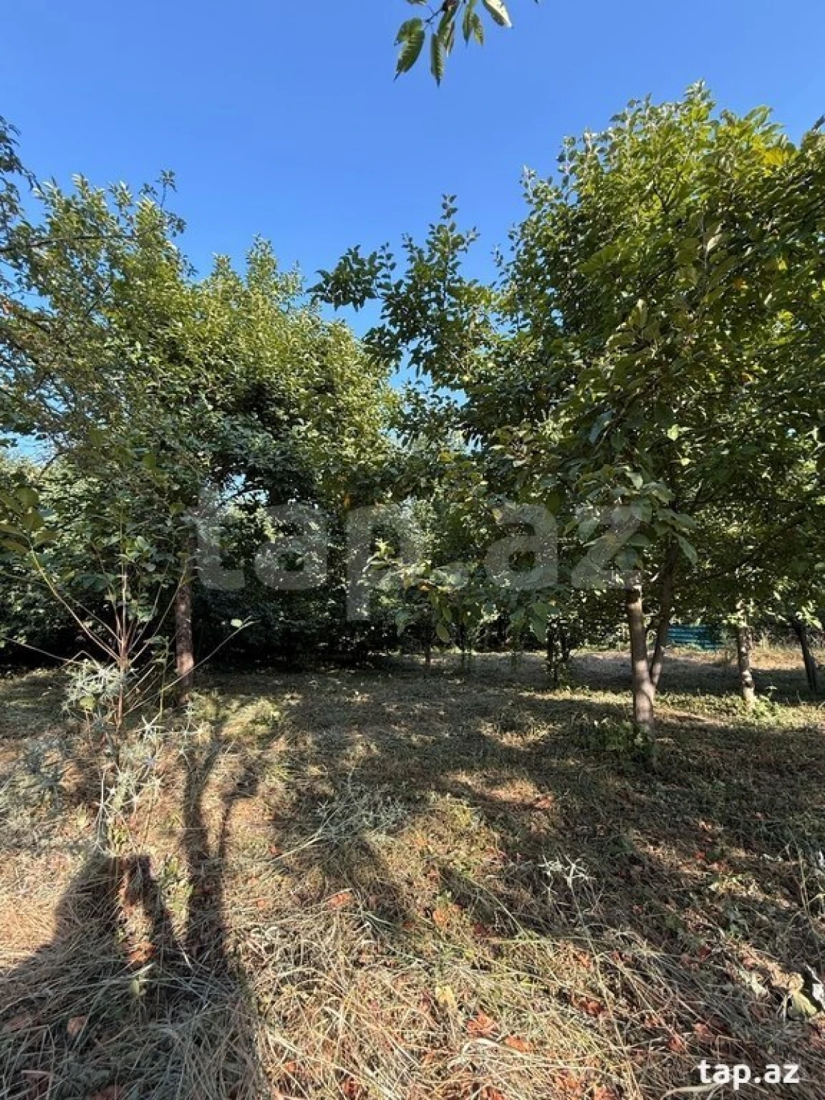 Satılır 3 otaqlı həyət evi 156 m²