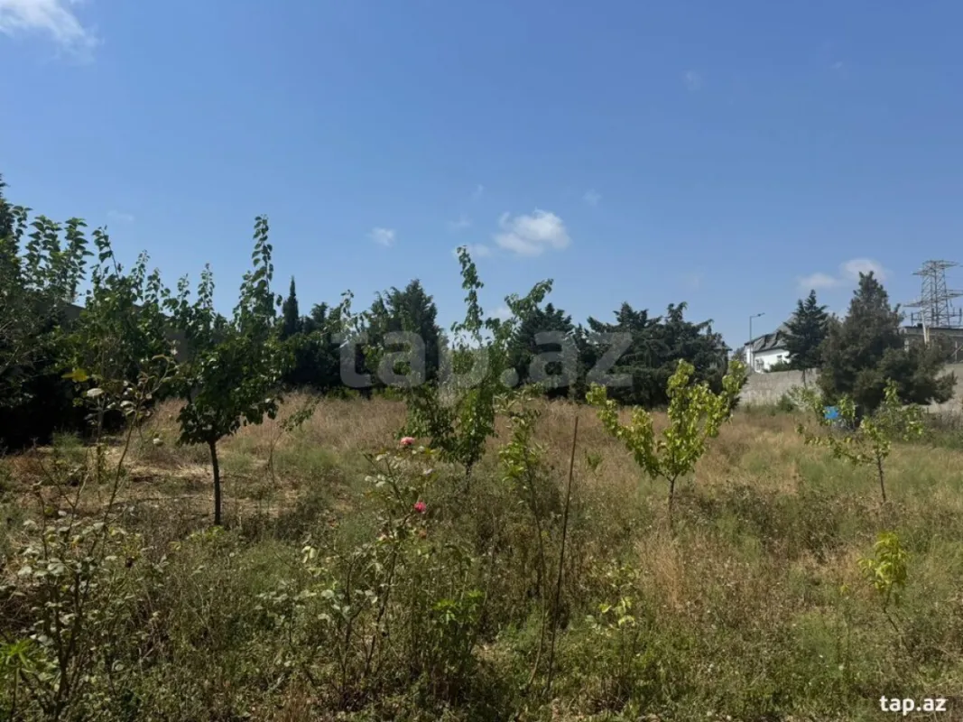 Satılır torpaq sahəsi